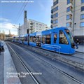 a35_liljeh_250328.jpg