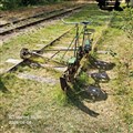 nora11_260808.jpg