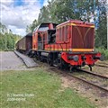 nora12_260808.jpg