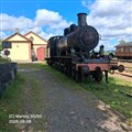 nora3_260808.jpg