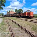 nora4_260808.jpg