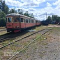 nora5_260808.jpg