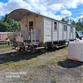 nora6_260808.jpg