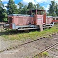 nora7_260808.jpg