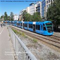a35_liljeh_240526.jpg