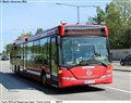 buss_fas2_180515.jpg