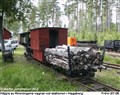 frovi5.jpg