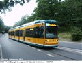 gast08_djl9_080709.JPG