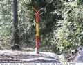 jvg_roslagen10_070922.jpg
