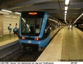 liljeh_051107_t.jpg