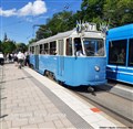 ml_g_71_koh_220605.jpg