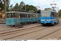 muma10_200822.jpg