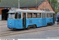 muma6_200822.jpg