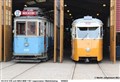 muma8_200822.jpg