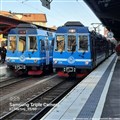 rb_tag1_230924.jpg