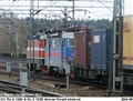 rc_orange8.jpg